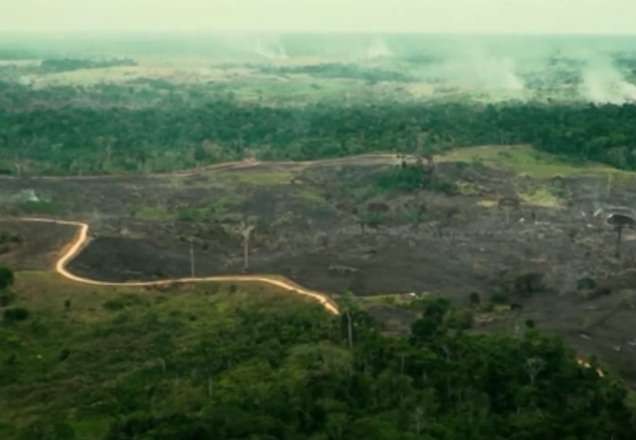Desmatamento na Amazônia aumenta 80% em setembro