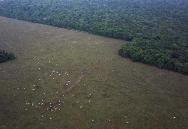 Secretário desdenha de alerta para aumento da temperatura na Amazônia