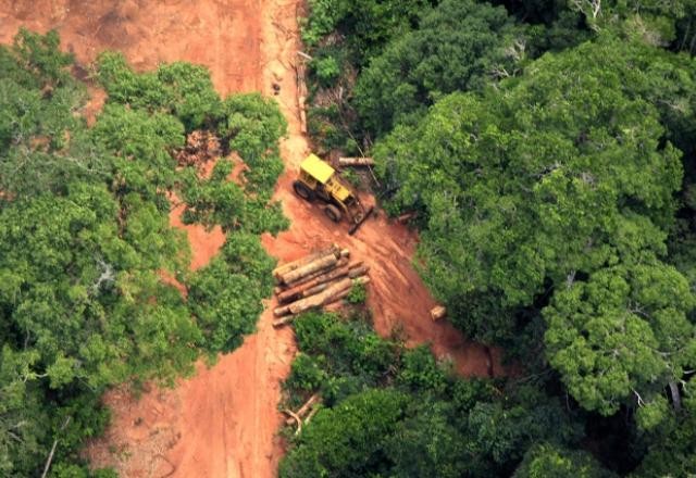 COP27: Brasil não apresentará balanço atual de desmatamento, de novo
