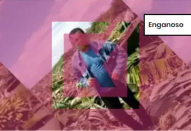 Imagem da noticia ENGANOSO: Vídeo de plantação destruída na Bahia é de 2019 e não em 2023