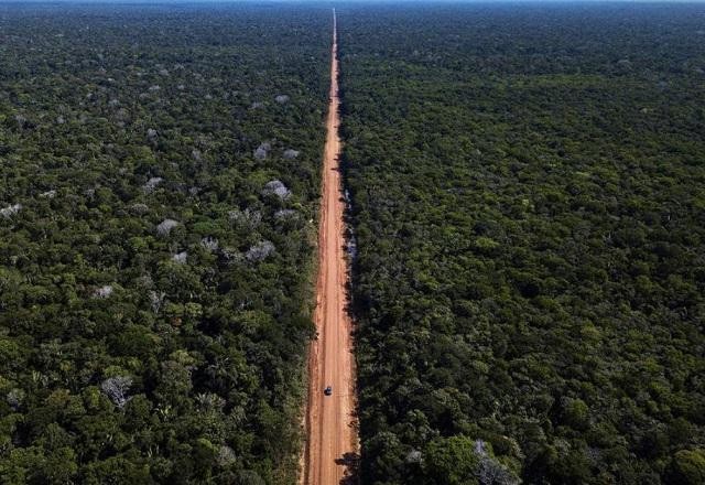 Imagem da noticia Emissões de gases de efeito estufa crescem 16% no entorno da BR-319