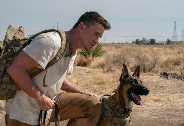 Imagem da noticia "Dog - A Aventura de uma vida" traz a descoberta de um amor com poder de cura