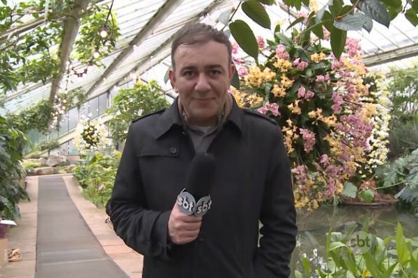Imagem da noticia Em Londres, festival indiano expõe 4 mil tipos de orquídea no Jardim Botânico Real