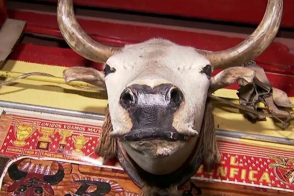 Imagem da noticia Em São Paulo, Marcão do Povo visita o ´Bar dos Cornos´