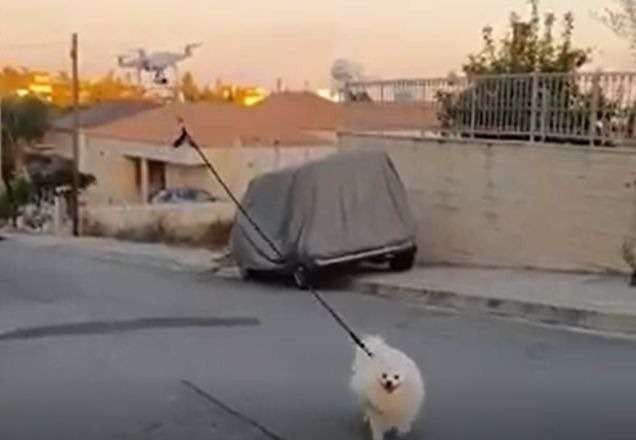 Imagem da noticia Em quarentena, homem usa drone para levar o cachorro para passear na rua