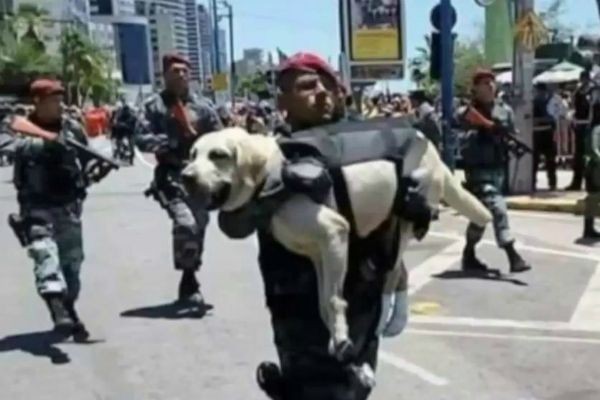 Imagem da noticia Entenda o caso do militar que carregou cachorro no colo durante desfile