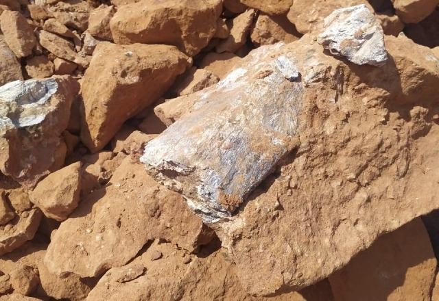 Imagem da noticia Dinossauro carnívoro: fóssil é encontrado em obra de rodovia paulista