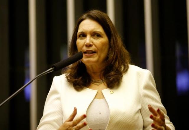Imagem da noticia Bia Kicis tenta distanciar-se do governo para reduzir resistência na CCJ