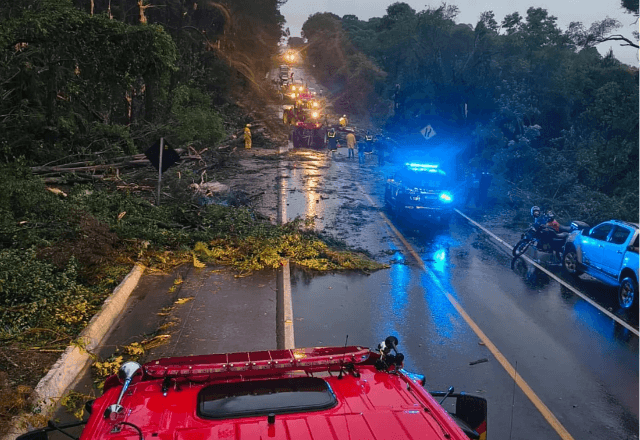 Imagem da noticia Fortes ventos causam estragos e mobilizam bombeiros em Santa Catarina