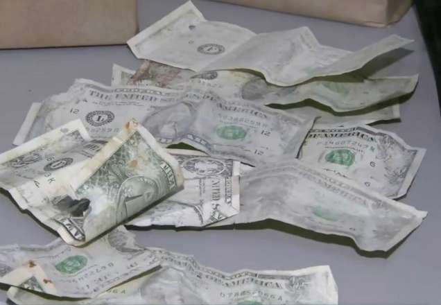 Imagem da noticia Estrangeiros aplicam golpe do "dólar negro" em empresários de SP