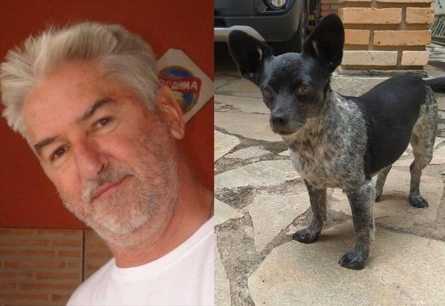 Imagem da noticia Oficial da reserva do Exército é preso suspeito de matar cachorra de vizinha com tiro de rifle no DF