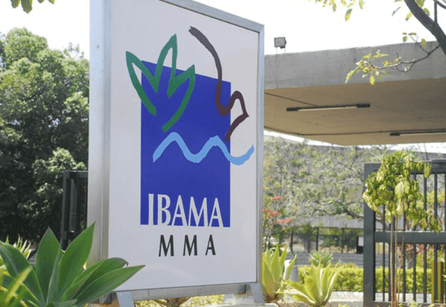 Imagem da noticia Prazo de inscrição no concurso do Ibama termina nesta terça (18)