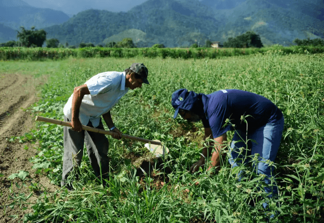 Imagem da noticia Desenrola Rural: governo lança programa de renegociação de dívidas agrícolas com descontos de até 96%