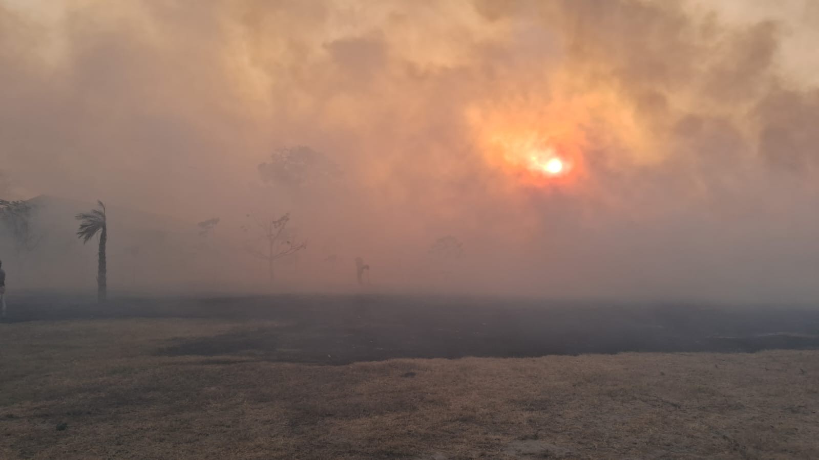 Imagem da noticia Brasil e Bolívia firmam acordo para ação conjunta no combate a incêndios