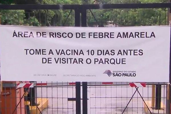 Imagem da noticia Febre Amarela: Equipes vão visitar 13 mil casas para vacinar moradores em SP