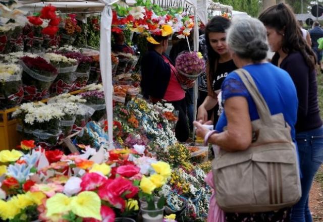 Imagem da noticia Levantamento mostra que Brasil registrou mais de 338 mil novos pequenos negócios em junho