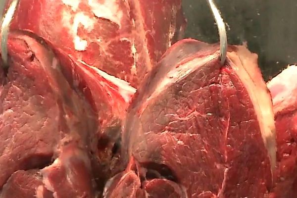 Fiscais da Agricultura cobravam propina para liberar carnes adulteradas 