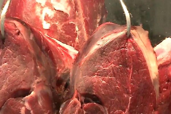Imagem da noticia Fiscais da Agricultura cobravam propina para liberar carnes adulteradas 