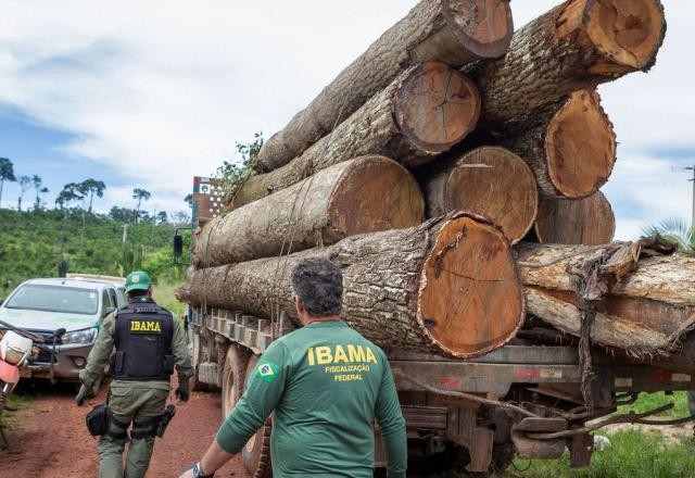 Servidores do Ibama iniciam greve nesta segunda-feira