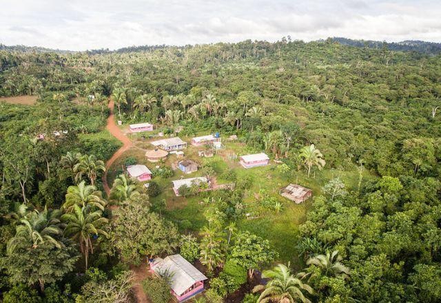 Imagem da noticia Representantes do BID se aliam a Alemanha e Holanda para proteger Amazônia