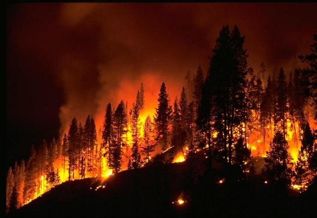 Imagem da noticia "Ninguém está imune ao caos climático", alerta especialista