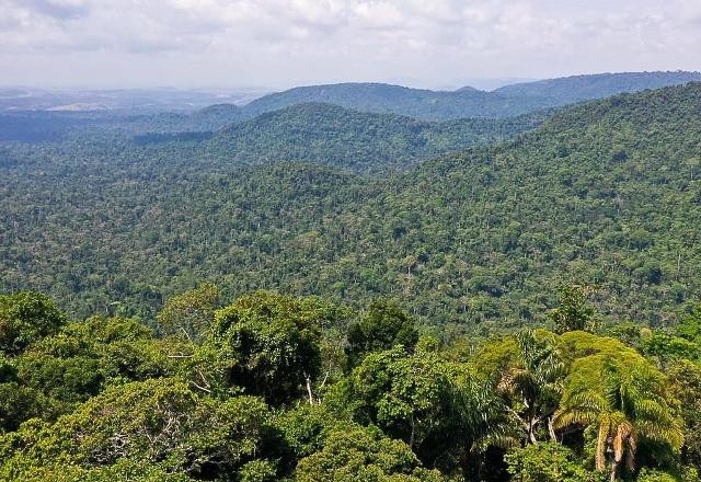 Imagem da noticia Mercado de carbono: empresários criticam decreto do governo