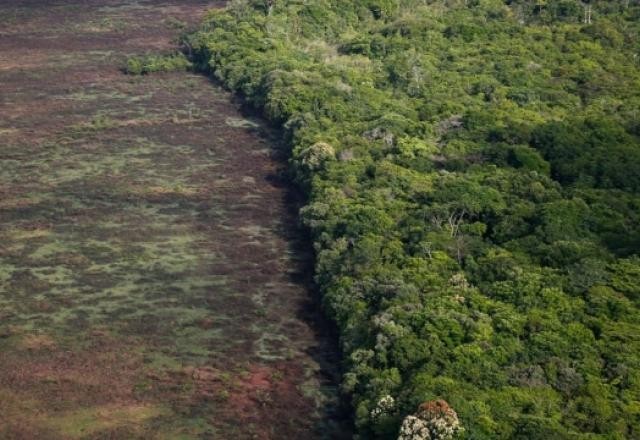 Imagem da noticia Florestas sob ameaça: Câmara aprova MP que prorroga regularização ambiental
