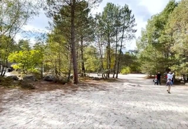 Imagem da noticia Fontainebleau, na França: a floresta com areia de praia a 250 km do mar