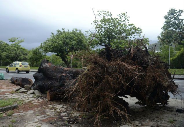 Imagem da noticia Fortes chuvas podem atingir o Rio de Janeiro neste domingo