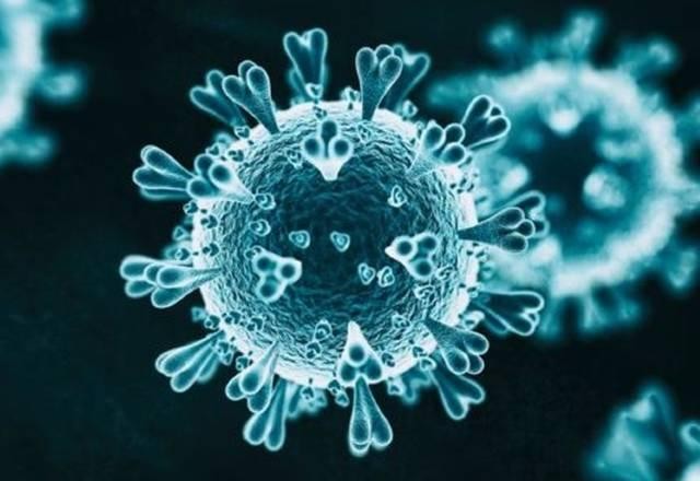 Imagem da noticia Covid-19: Ministério confirma reinfecção com nova variante no Amazonas