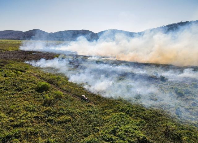 O que causa fogo no Pantanal? Qual o futuro do bioma? Perguntas e respostas sobre incêndios que atingem região