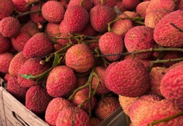 Imagem da noticia Lichia é o destaque da semana para compras em atacados