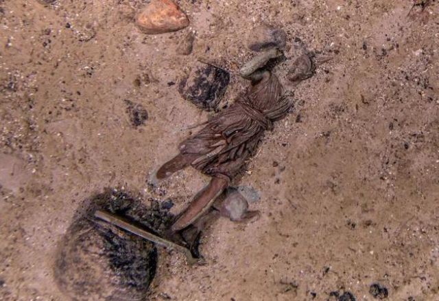 Imagem da noticia Estátua de bronze perdida é encontrada durante expedição ao Titanic