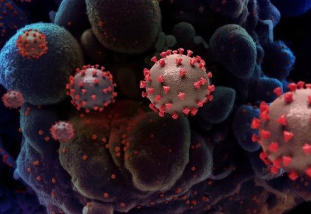 Imagem da noticia Infecções por Covid-19 aumentam 52% em um mês, alerta OMS