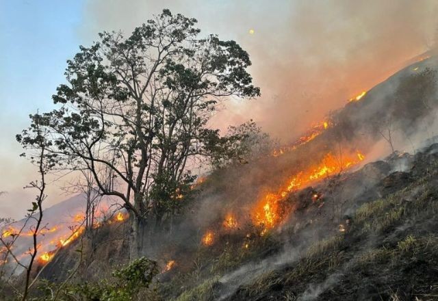 SP: Defesa Civil estende alerta de risco elevado para incêndios nas faixas norte, noroeste e oeste