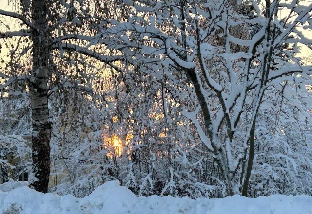 Imagem da noticia Onda de frio faz termômetros atingirem -40ºC na Finlândia e Suécia