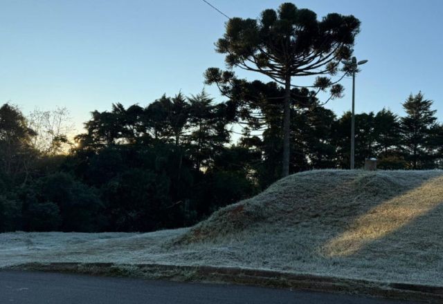 Imagem da noticia Curitiba tem temperatura negativa nesta quarta-feira (25)
