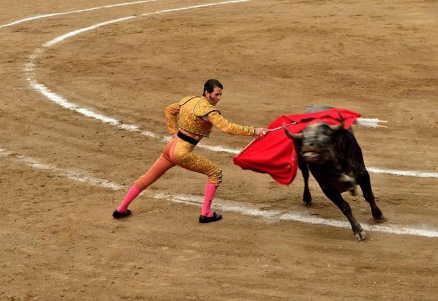Imagem da noticia Tribunal federal volta a suspender touradas na Cidade do México