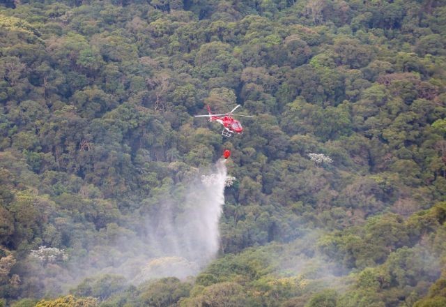 Imagem da noticia Focos de incêndio caem 88% no estado de São Paulo