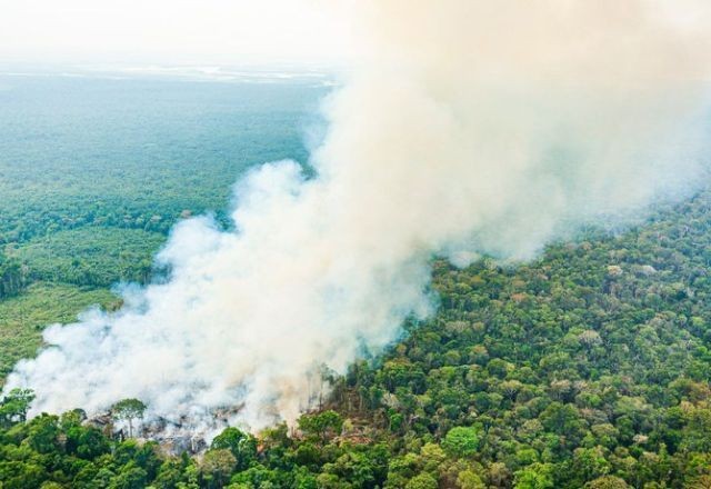 Imagem da noticia Fumaça de queimadas no Brasil cruza oceano e alcança sul da África