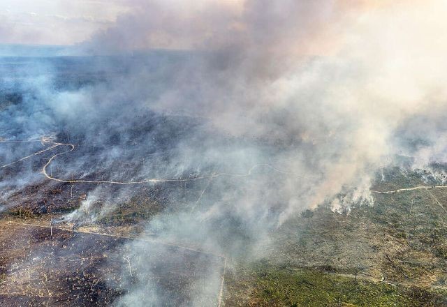 Imagem da noticia Amazonas registra pior agosto para queimadas em 26 anos, diz Inpe
