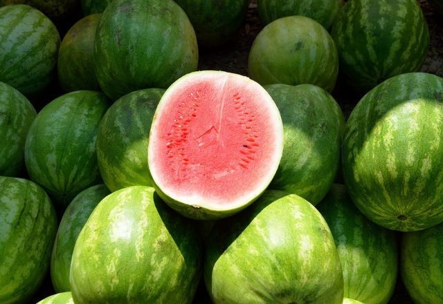 Imagem da noticia Melancia é o destaque da semana para compras em atacados