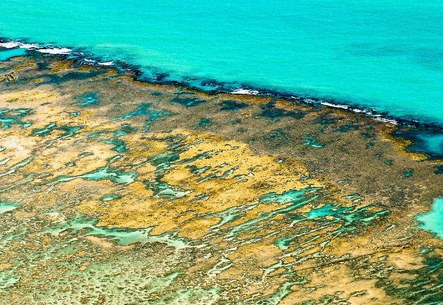 Descubra a beleza rústica do nordeste brasileiro em Paripueira, Alagoas