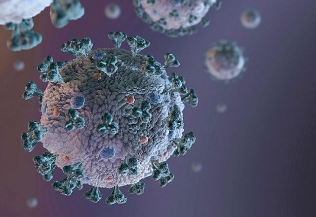 Imagem da noticia Primeira imagem da variante Ômicron mostra mais mutações que a Delta