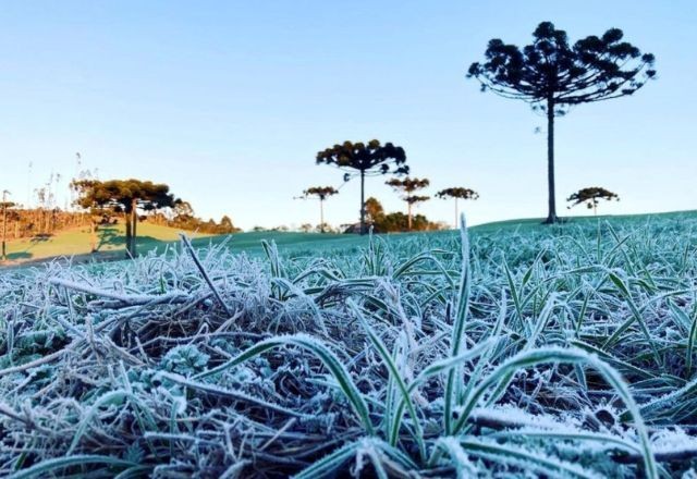 Imagem da noticia Frente fria provoca alerta de queda de temperatura no Paraná