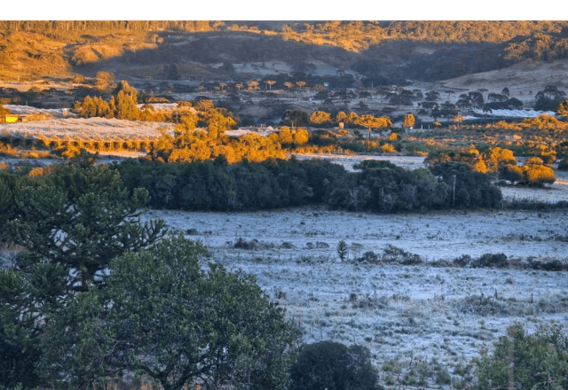 Imagem da noticia Defesa Civil de Santa Catarina emite aviso de frio intenso para esta noite