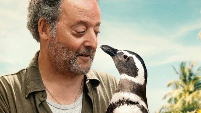 Imagem da noticia Brasileiro e pinguim: amizade inusitada ganha as telonas de Hollywood