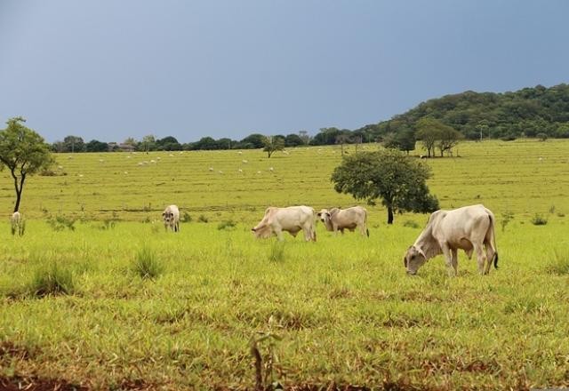 Imagem da noticia Se agronegócio não mitigar gases-estufa pode perder US$ 150 bi até 2030