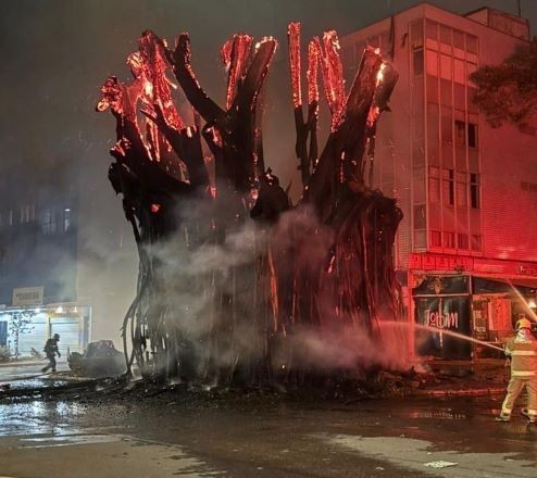 Imagem da noticia Gameleira de 40 anos é destruída após homem atear fogo para divertir o filho