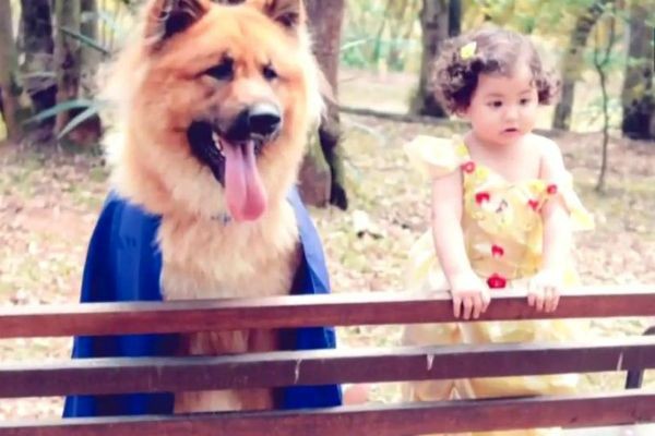 Garota e cachorro conquistam a internet com ensaio inspirado em ´A Bela e a Fera´